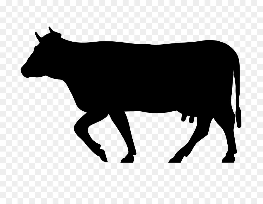 sapi potong welsh hitam sapi sapi perah gambar png sapi sapi perah gambar png