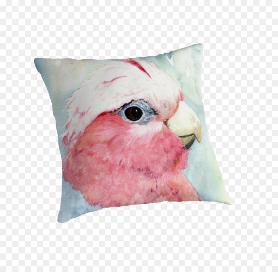 Bantal，Paruh PNG