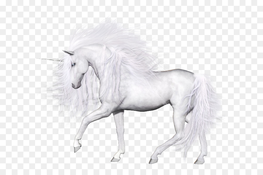 Unicorn，Mitos PNG