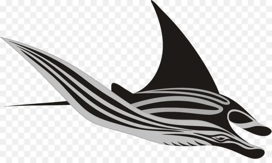 Raksasa Oceanic Manta Ray，Ikan PNG