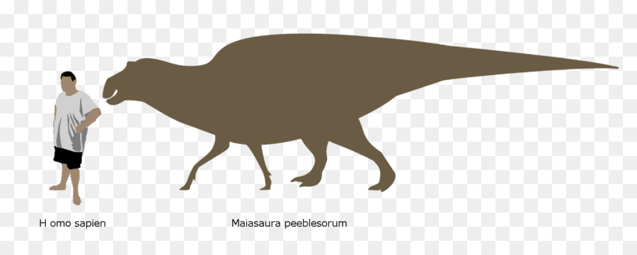 Tyrannosaurus Rex，Manusia PNG