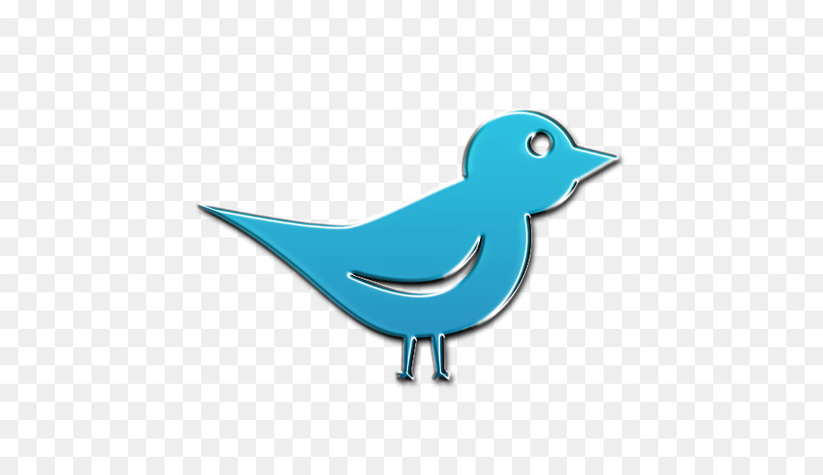 Blue Bird，Hewan PNG