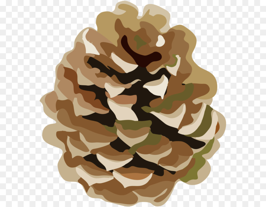 Kartun，Pinus PNG