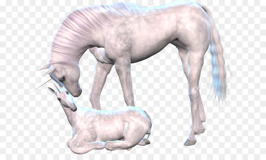 Unicorn，Kuda PNG