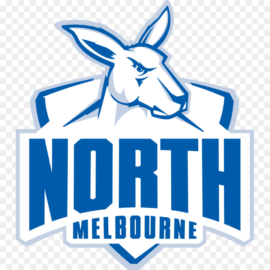 Klub Sepak Bola Melbourne Utara，Liga Sepak Bola Australia PNG