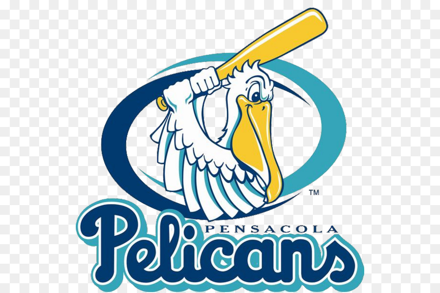 Burung Pelikan，Baseball PNG