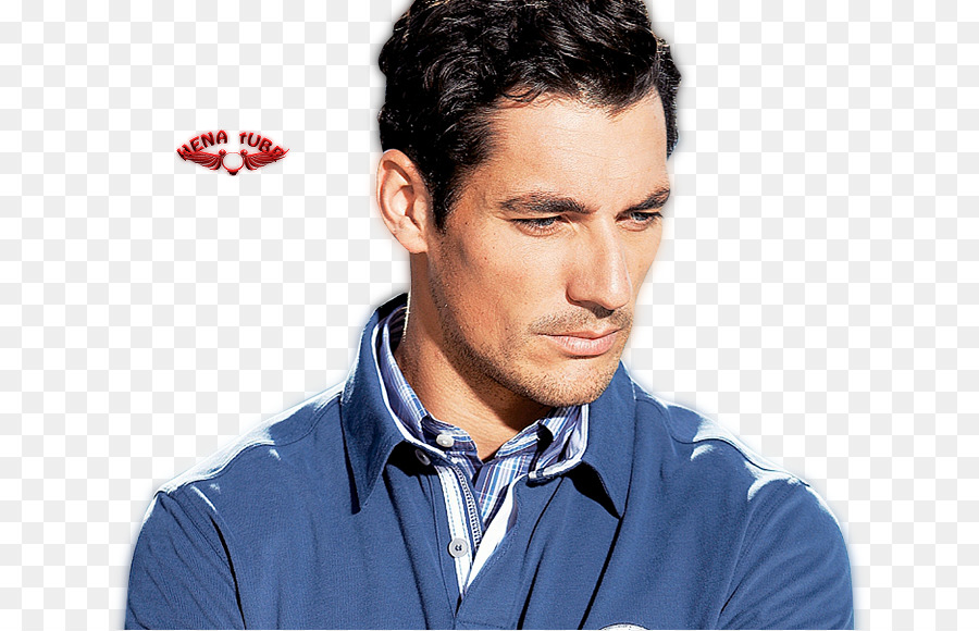 Daud Gandy，Desktop Wallpaper PNG