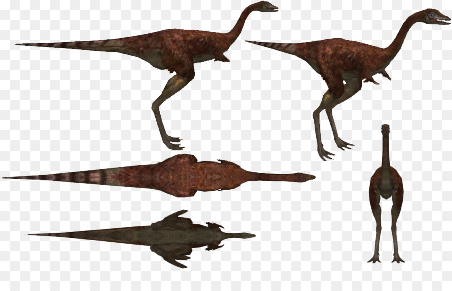 Dinosaurus，Prasejarah PNG