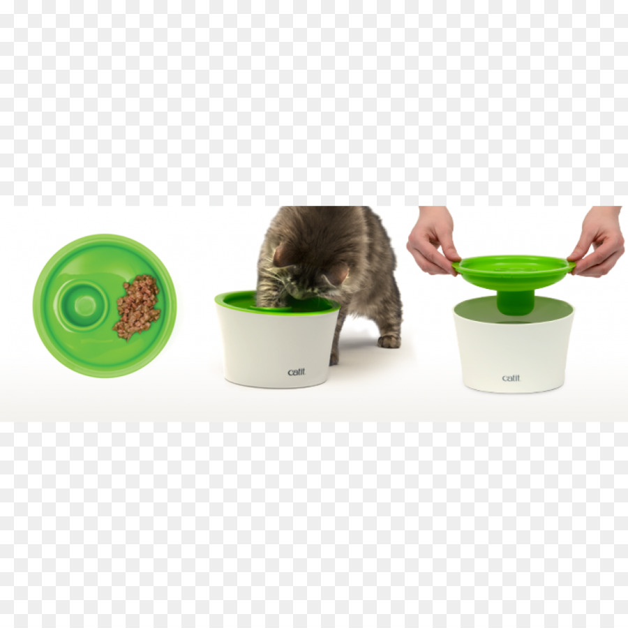 Kucing，Makanan Kucing PNG