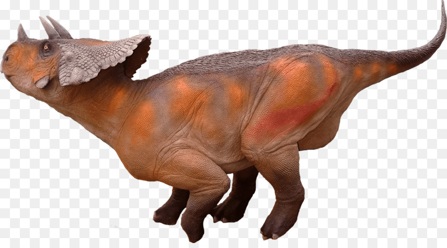 Avaceratops，Torosaurus PNG