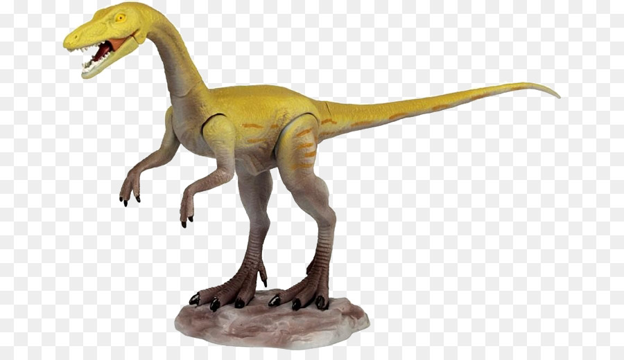 Velociraptor，Tyrannosaurus PNG