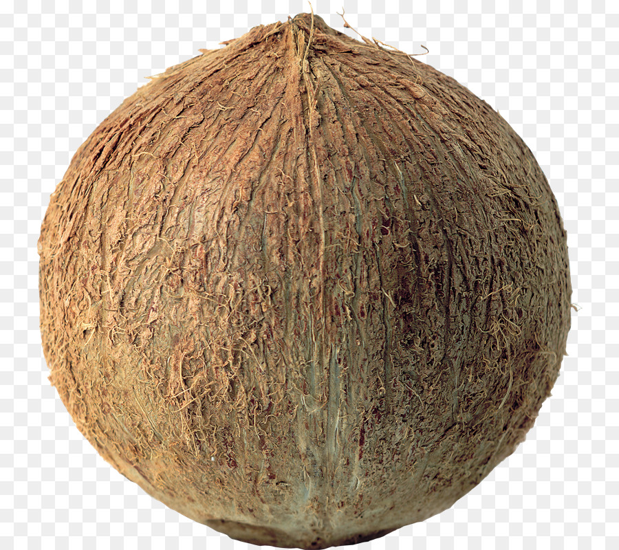 Kelapa，Buah PNG