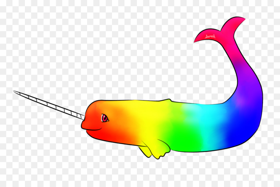 Narwhal Pelangi，Narwhal PNG