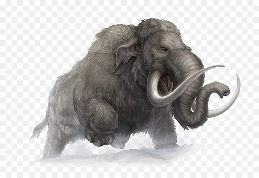 Mammoth Berbulu，Prasejarah PNG