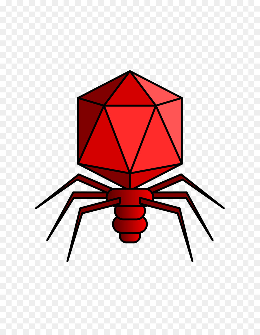 Virus Merah，Bakteriofag PNG