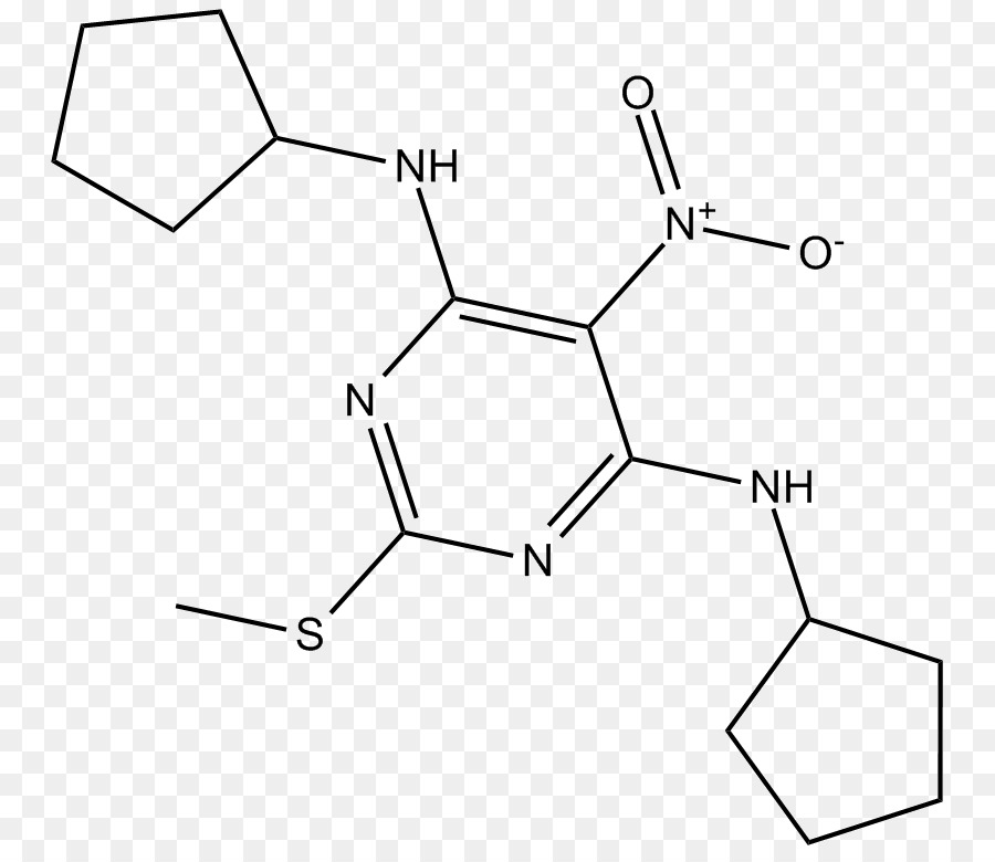 Reseptor Gabaa，Saluran Ion PNG