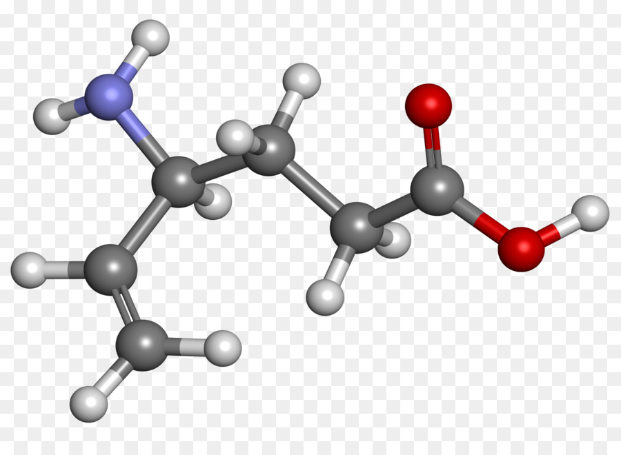 Vigabatrin，Asam Gammaaminobutyric PNG