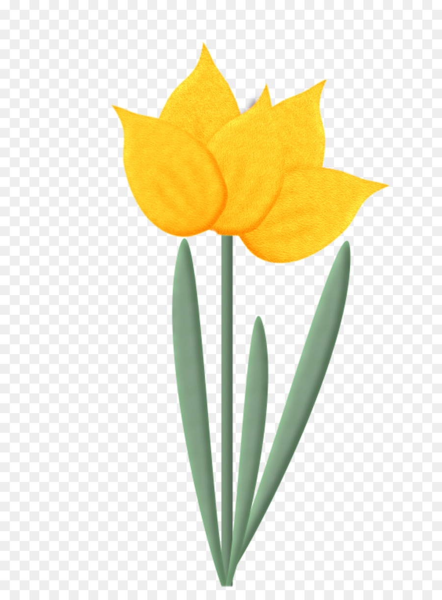 Tulip，Bunga PNG