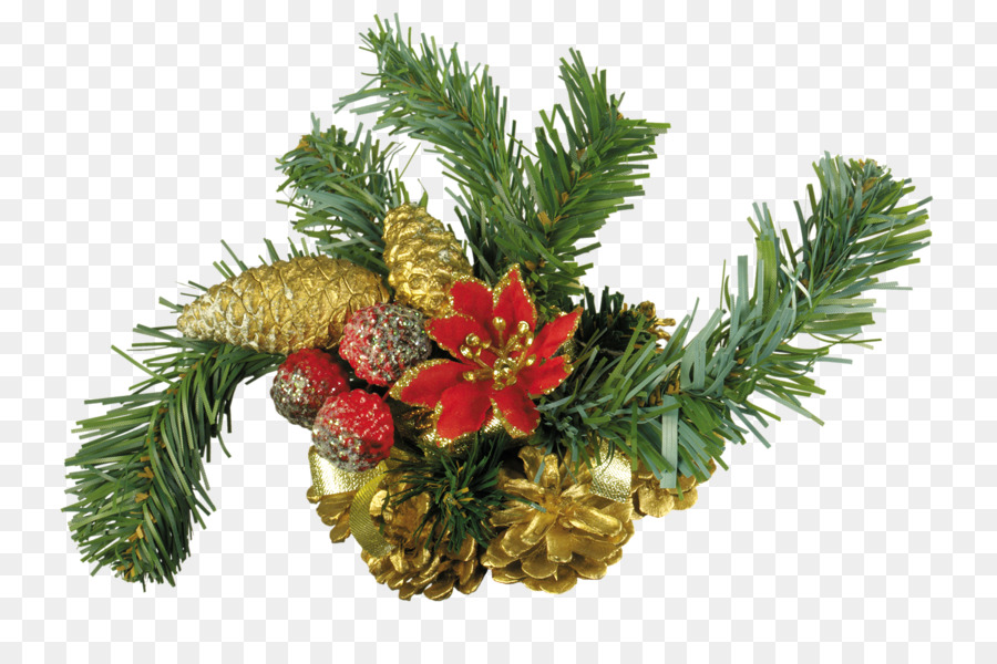 Dekorasi Natal，Buah Pinus PNG