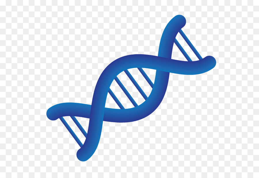 Untai Dna，Genetika PNG