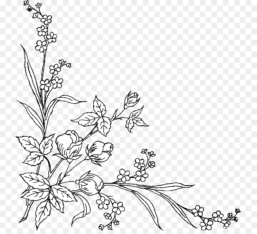 Bunga Hitam  Putih  Gambar  Seni  Grafis  Bunga Gambar  