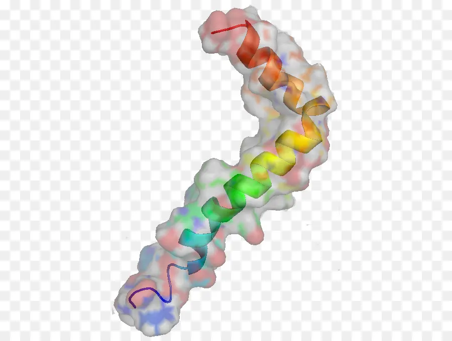 Amiloid Beta，Protein Prekursor Amiloid PNG