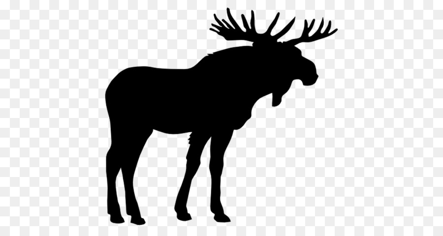 Rusa，Elk PNG