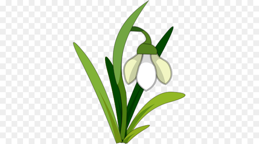 Polisi Militer，Lilium PNG