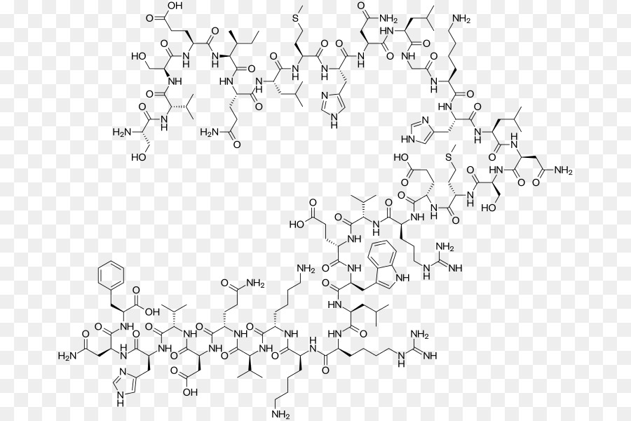 Teriparatide，Osteoporosis PNG