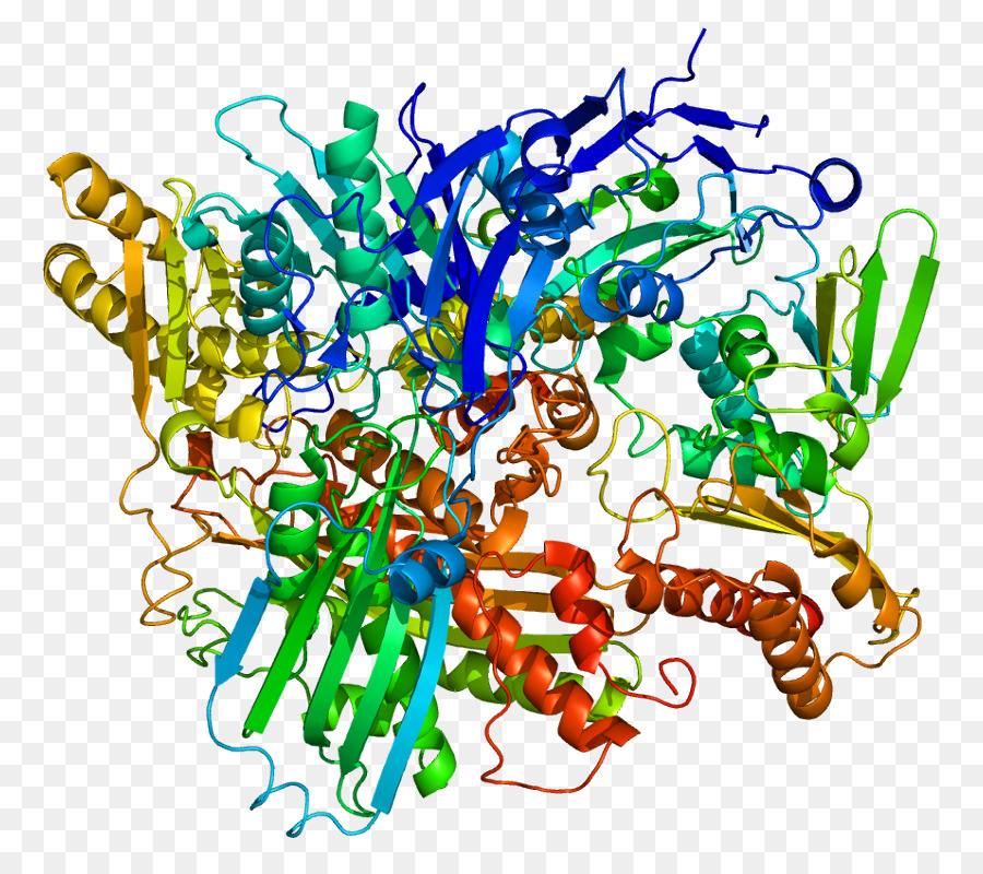 Struktur Protein，Molekul PNG