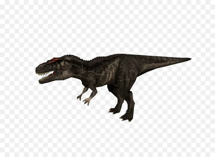 Dinosaurus，Prasejarah PNG