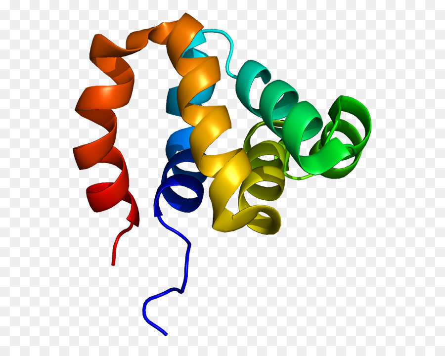 Mutasi，Protein PNG