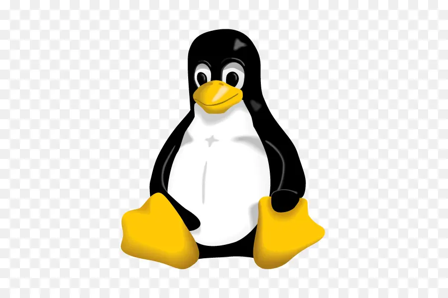 Penguin，Kartun PNG