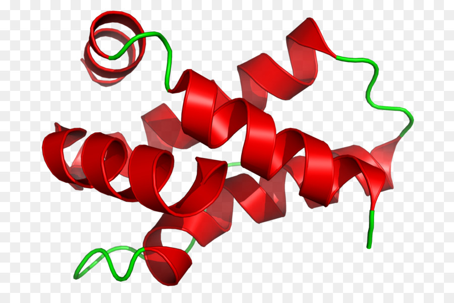 Mabinlin，Protein PNG