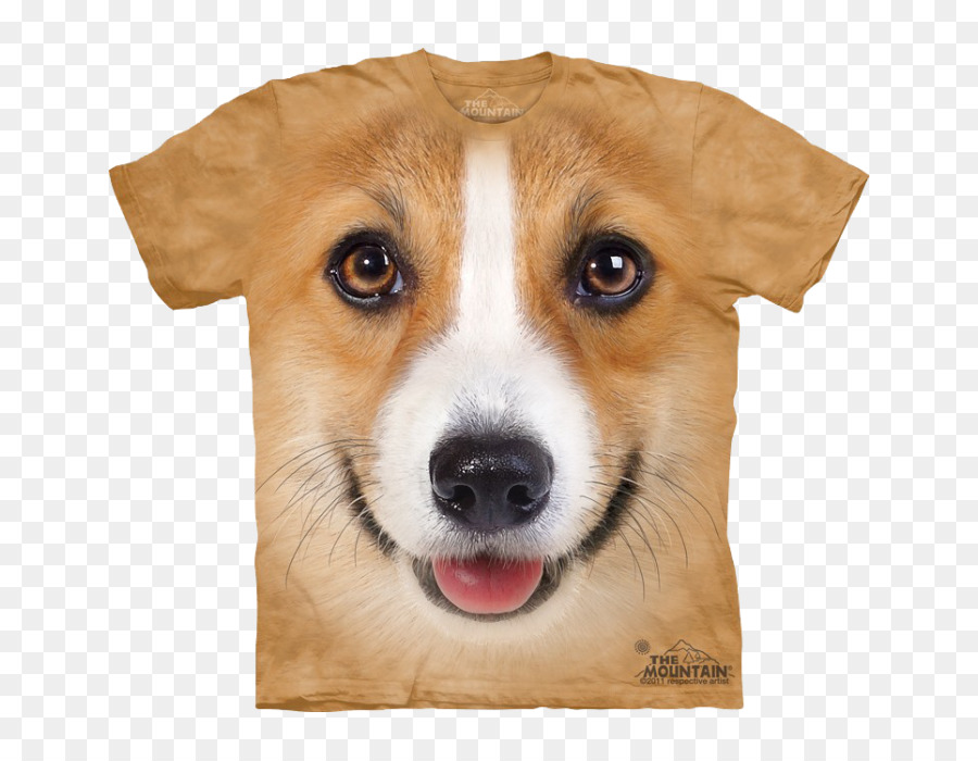 Pembroke Welsh Corgi，Tshirt PNG