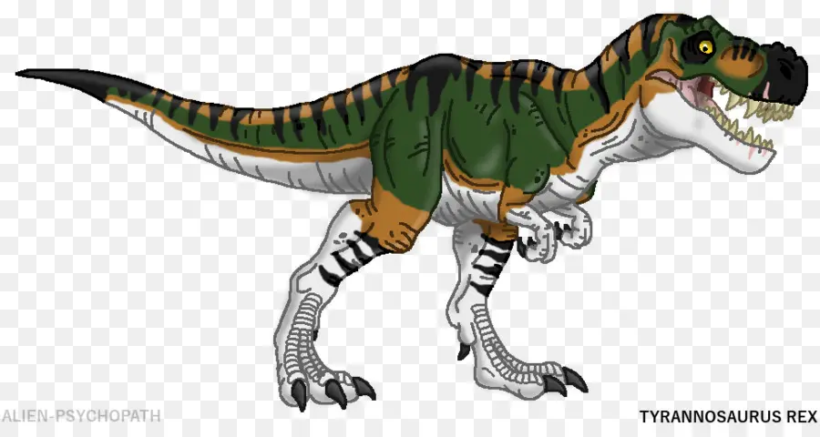 Tyrannosaurus Rex，T Rex PNG