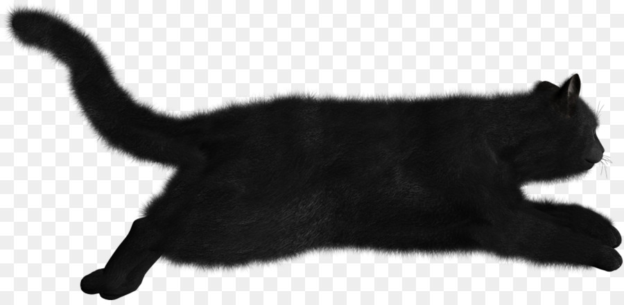 Kucing Hitam，Licik PNG