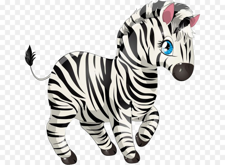 Zebra，Bergaris PNG