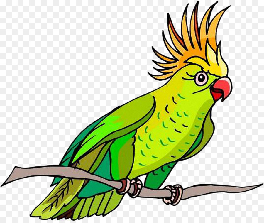 Burung，Perroquet PNG