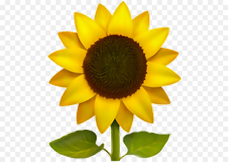  EMOJI  Umum Bunga  Matahari  Stiker gambar png