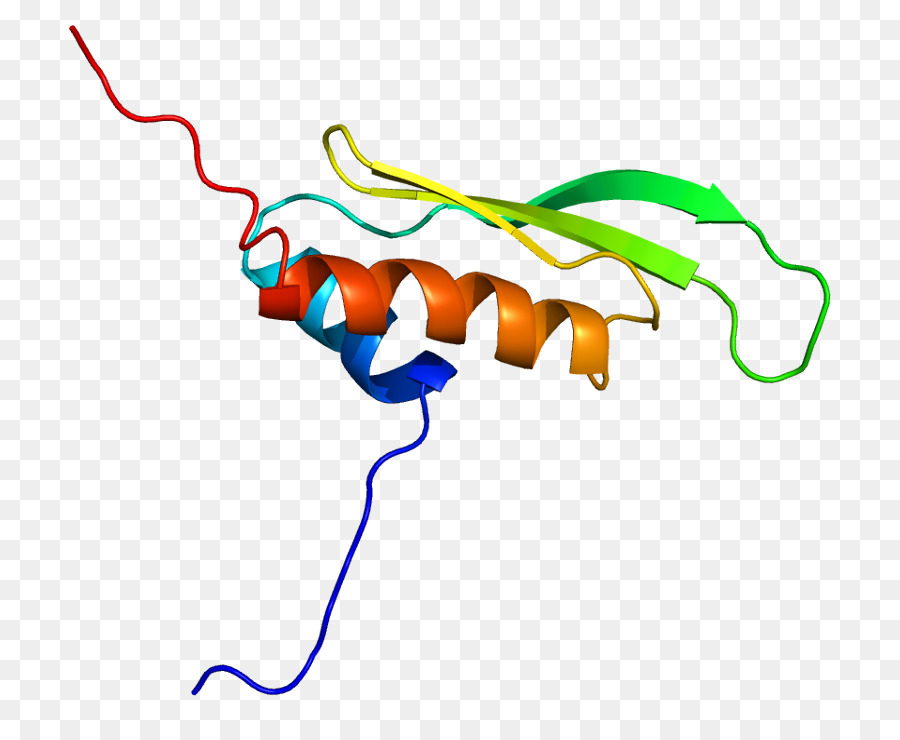 Virus Rna Yang Digandakan，Protein Kinase PNG