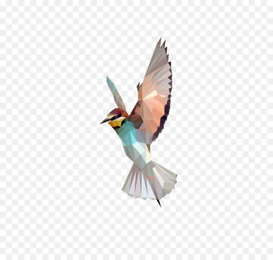 Burung，Poly Rendah PNG