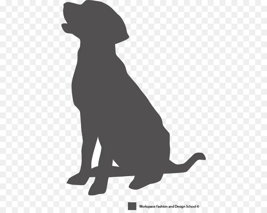 Labrador Retriever，Anjing PNG