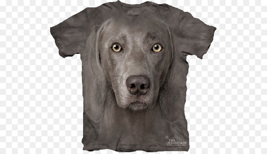 Tshirt，Weimaraner PNG