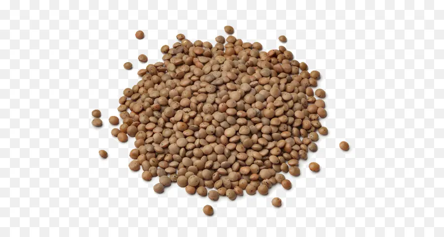 Lentil，Kacang Kacangan PNG