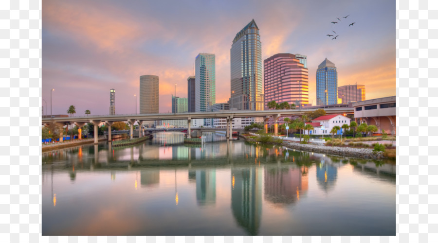 Downtown Tampa，Tampa Bay PNG