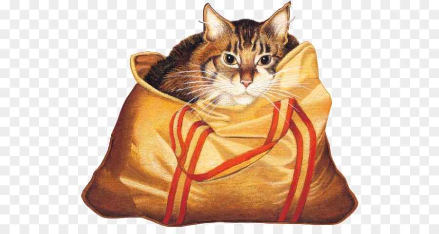 Kucing Di Tas，Licik PNG