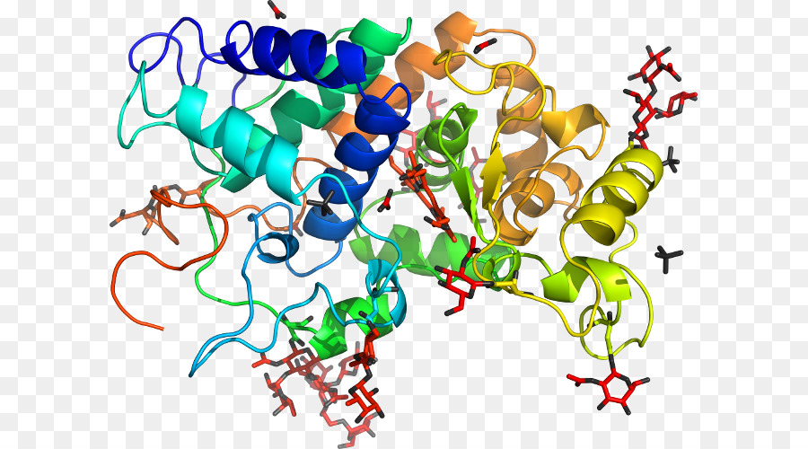 Struktur Protein，Molekul PNG