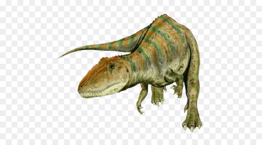 Carcharodontosaurus，Giganotosaurus PNG