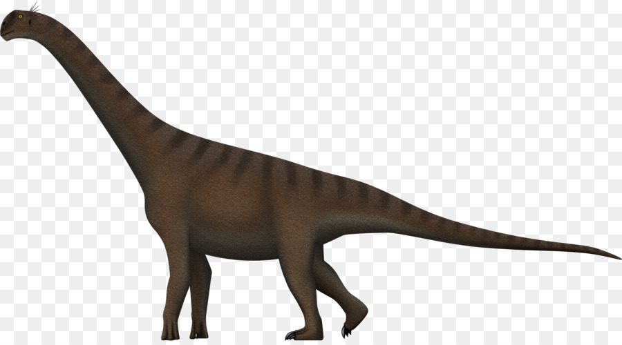 Dinosaurus Berleher Panjang，Prasejarah PNG